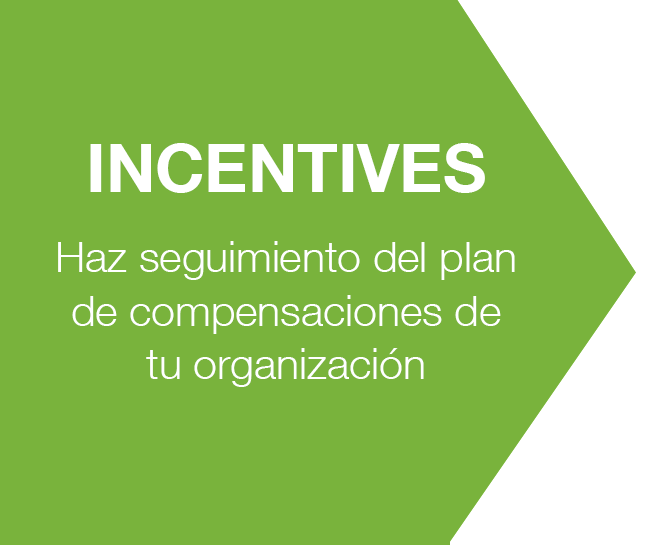 p_b_incentives