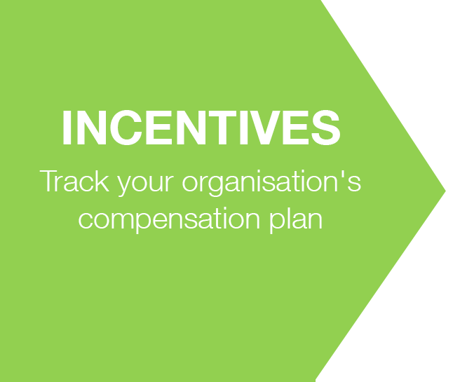 p_b_incentives_eng