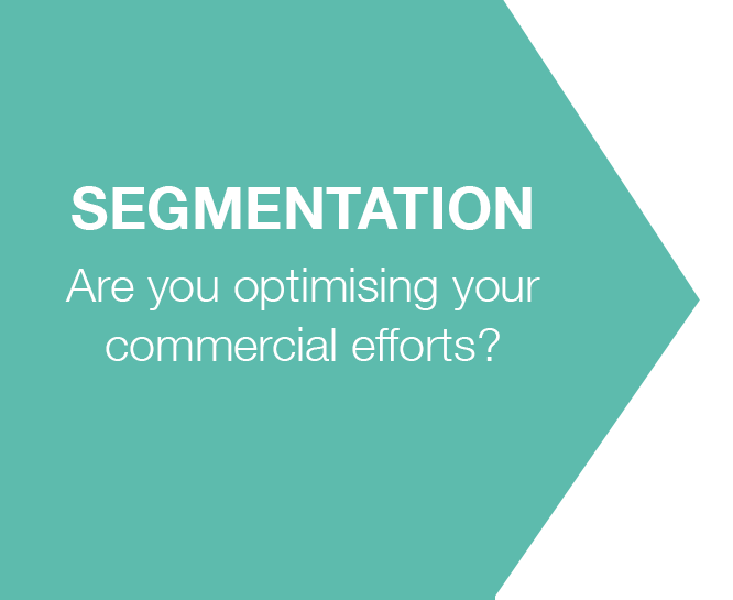 p_b_segmentation_eng